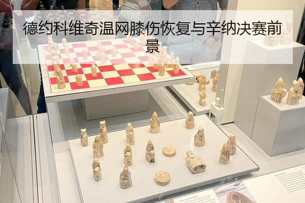 de-yue-ke-wei-qi-wen-wang-xi-shang-hui-fu-yu-xin-na-jue-sai-qian-jing-2-379.jpg