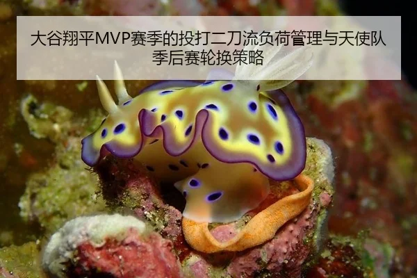 大谷翔平MVP赛季的投打二刀流负荷管理与天使队季后赛轮换策略